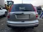 2010 HONDA CR-V