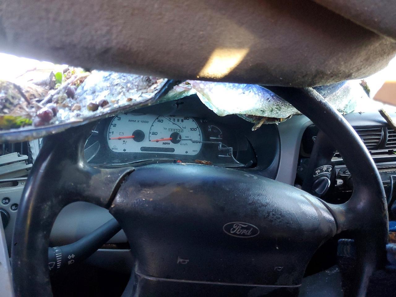 1995 FORD RANGER