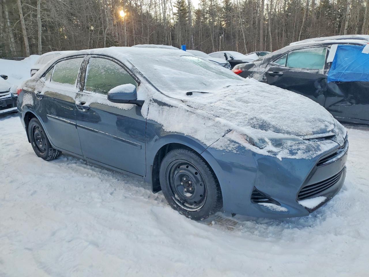 2019 TOYOTA COROLLA