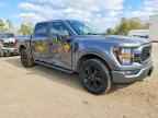 2023 FORD F-150 Lightning