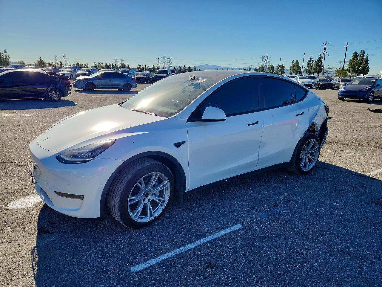 2021 TESLA MODEL Y
