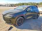 2024 LEXUS NX 250