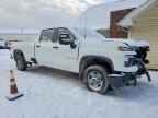 2024 CHEVROLET Silverado 2500