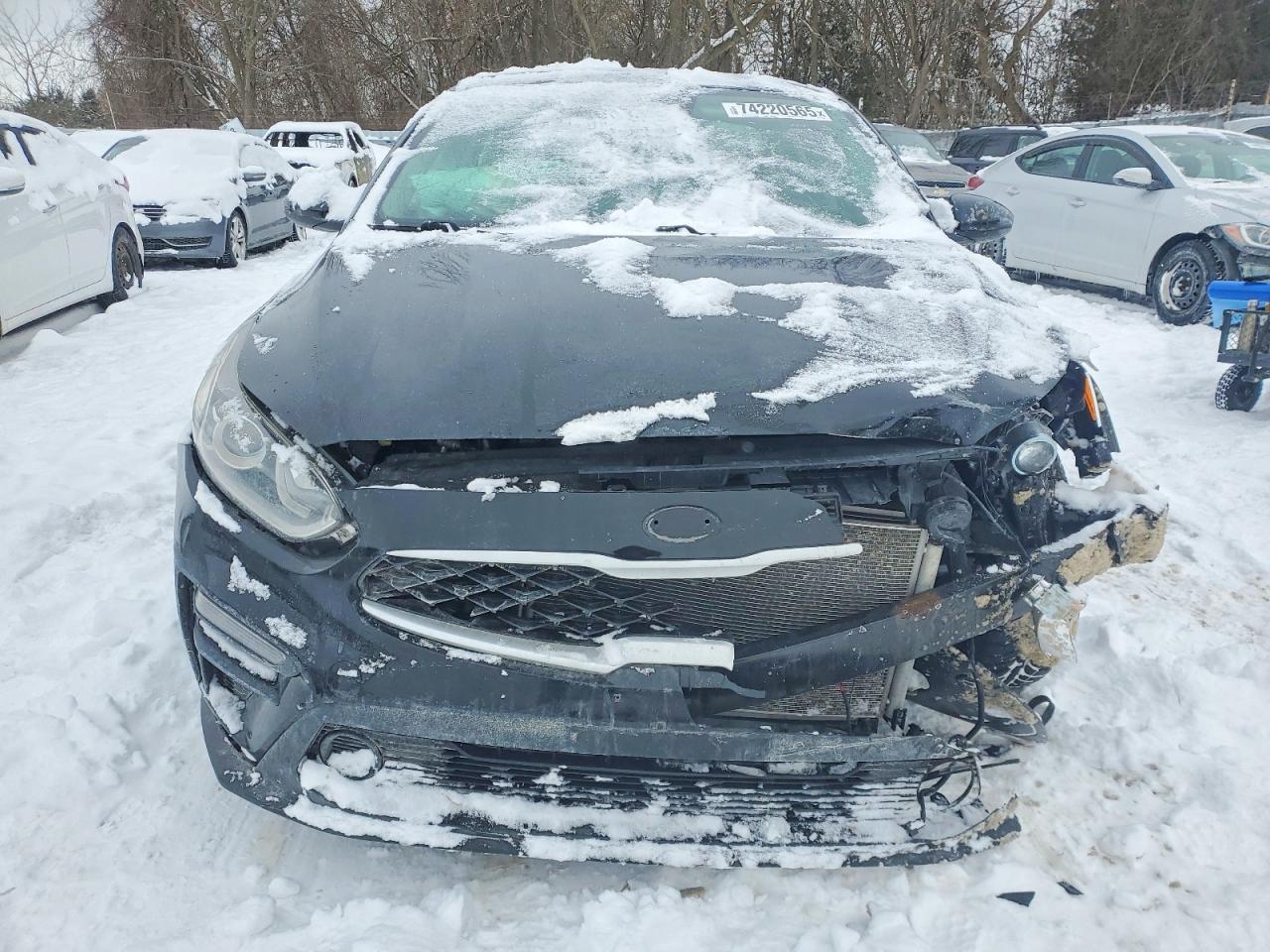 2019 KIA FORTE