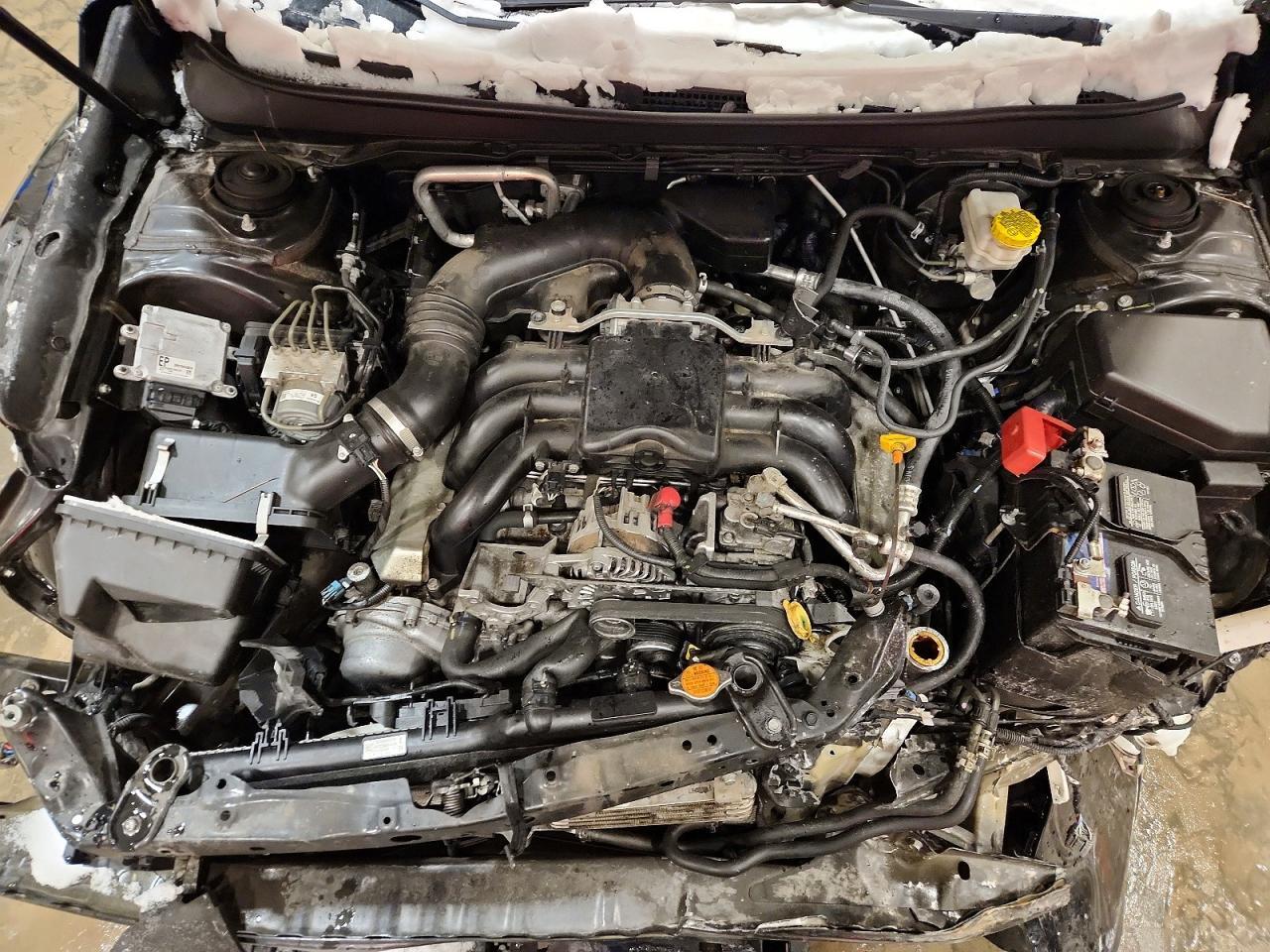 2019 SUBARU Outback