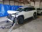2023 TOYOTA Sequoia