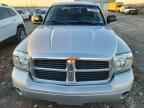 2006 DODGE Dakota