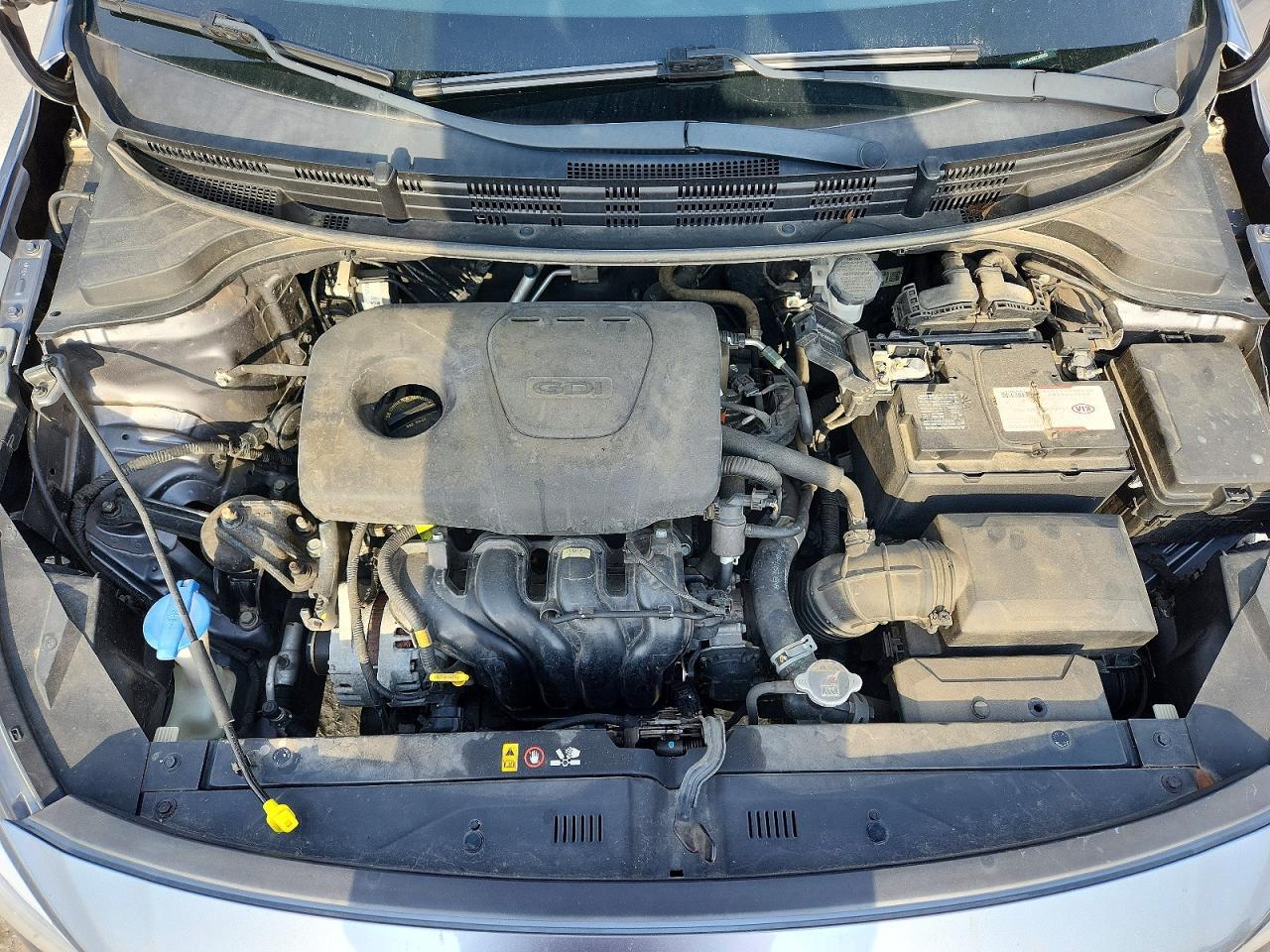 2019 KIA RIO