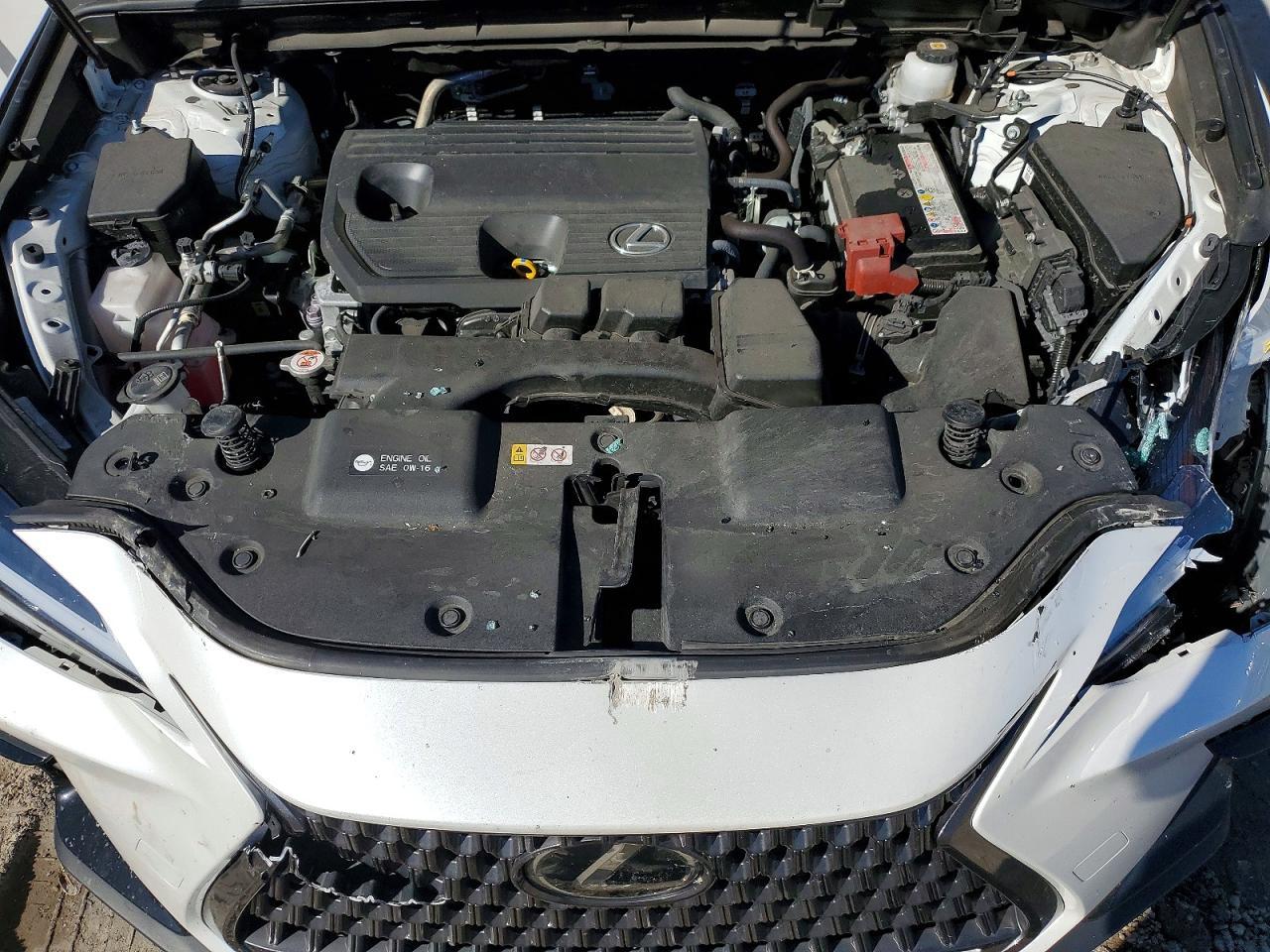 2024 LEXUS NX 250