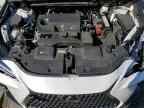 2024 LEXUS NX 250