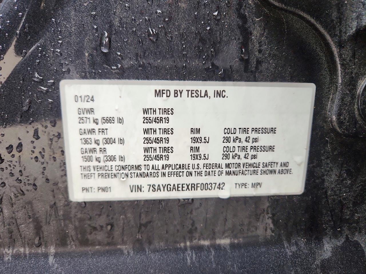 2024 TESLA MODEL Y