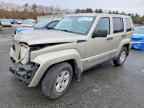 2010 JEEP Liberty
