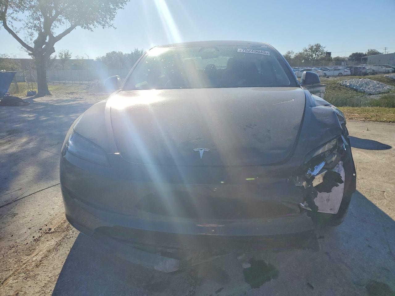 2025 TESLA MODEL 3