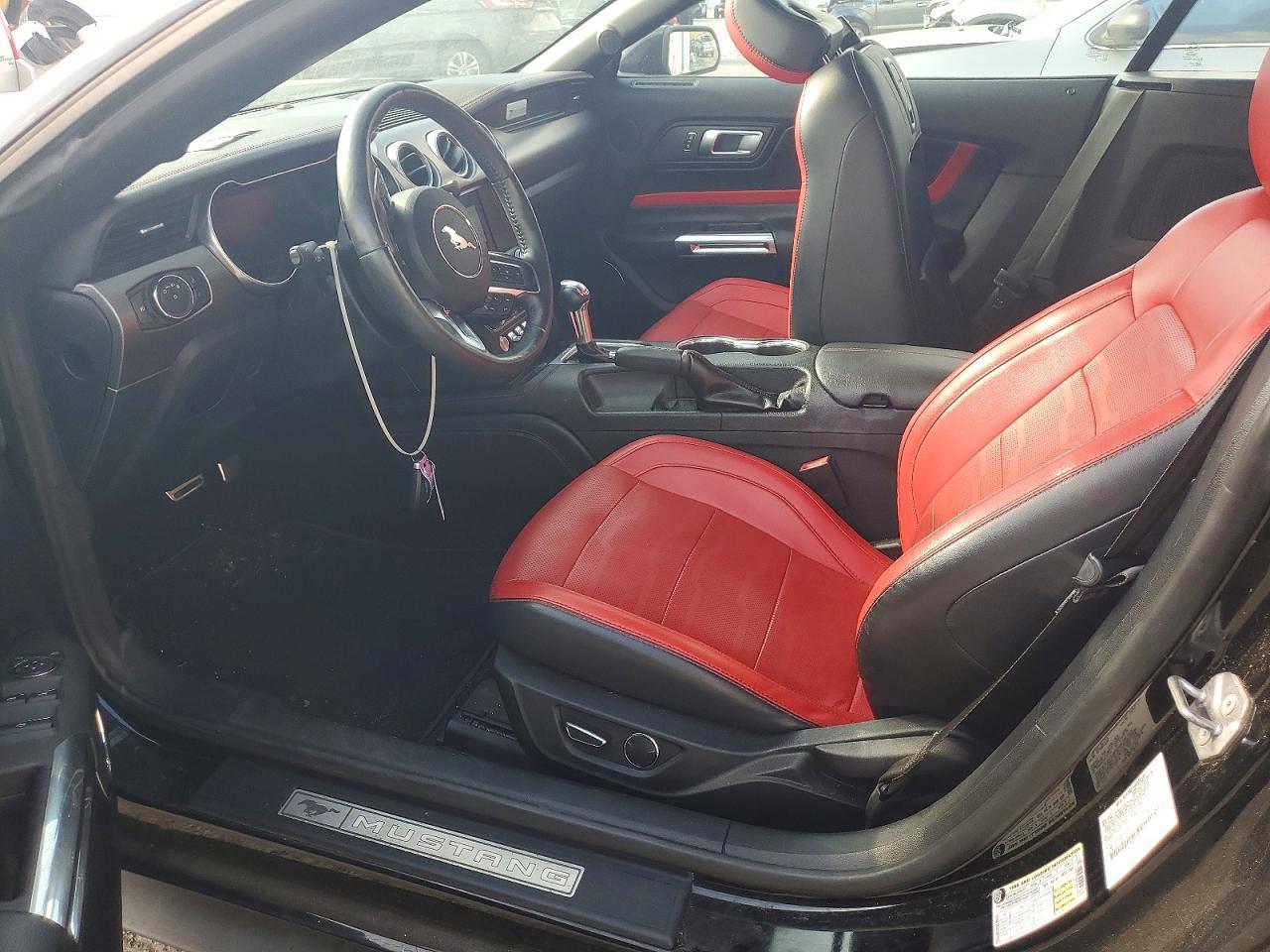 2019 FORD MUSTANG