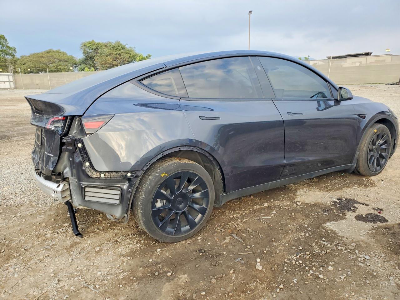 2024 TESLA MODEL Y