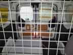 2016 FORD TRANSIT CONNECT