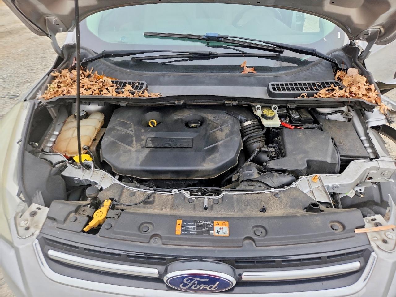 2013 FORD ESCAPE