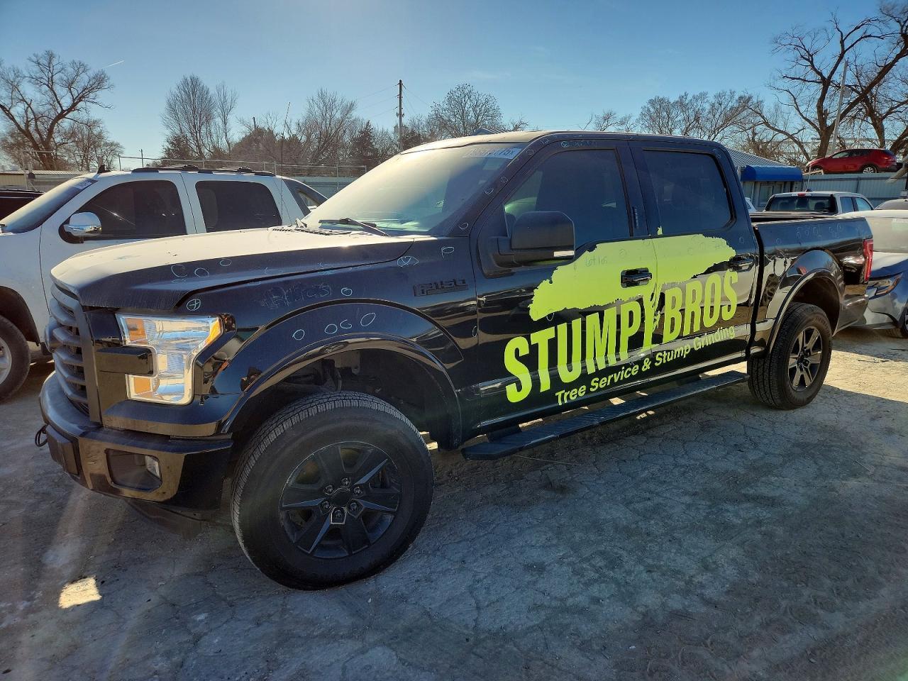 2017 FORD F-150 Lightning