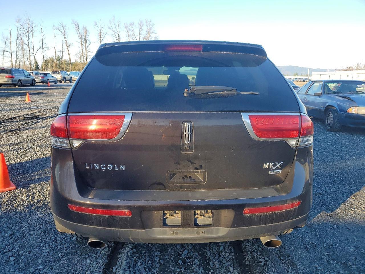 2013 LINCOLN MKX