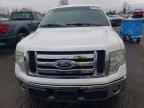 2010 FORD F-150 Lightning