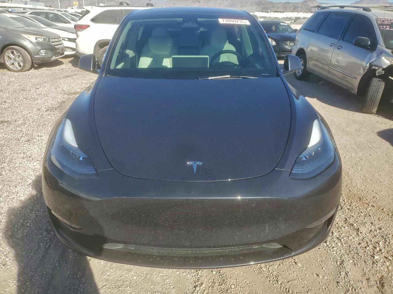 2025 TESLA MODEL Y