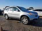 2007 HONDA CR-V