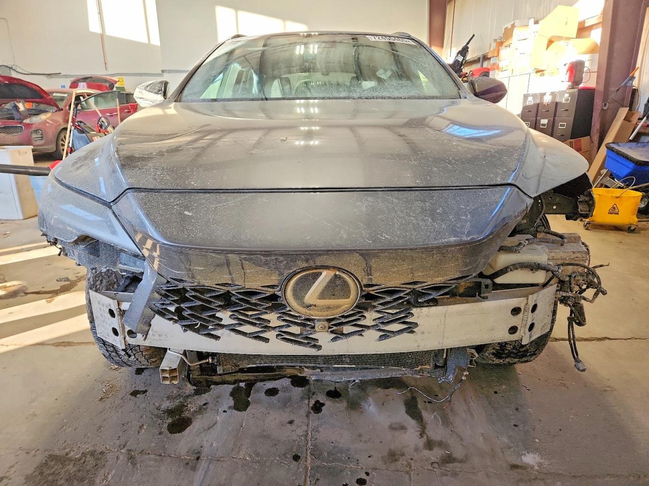 2023 LEXUS RX 500H