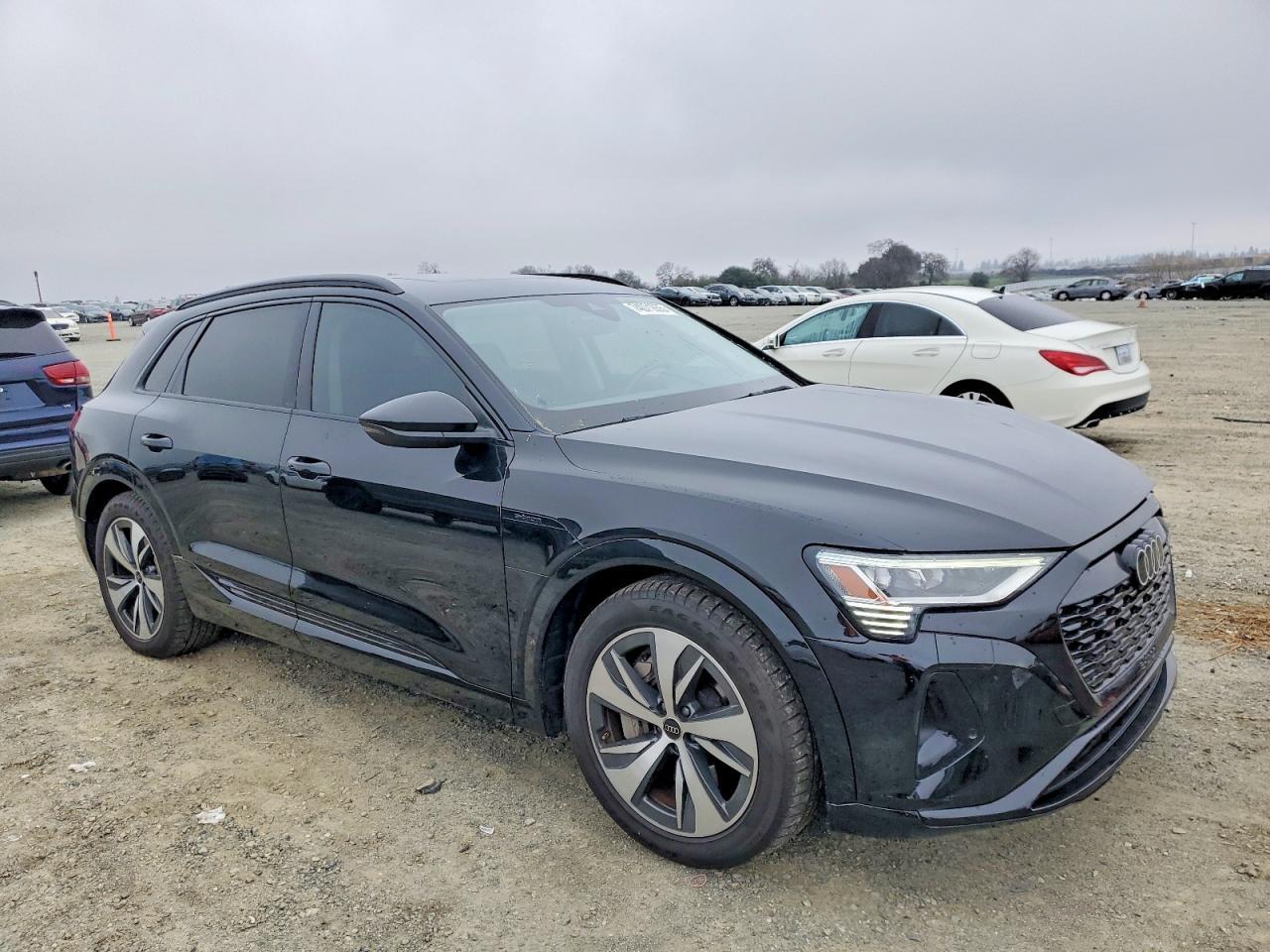 2024 AUDI Q8