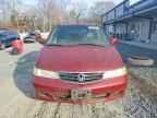 2004 HONDA ODYSSEY