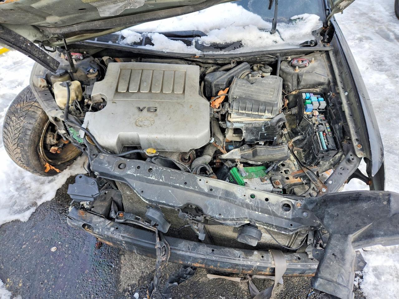 2005 TOYOTA Avalon