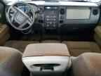 2009 FORD F-150