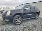 2013 CADILLAC ESCALADE
