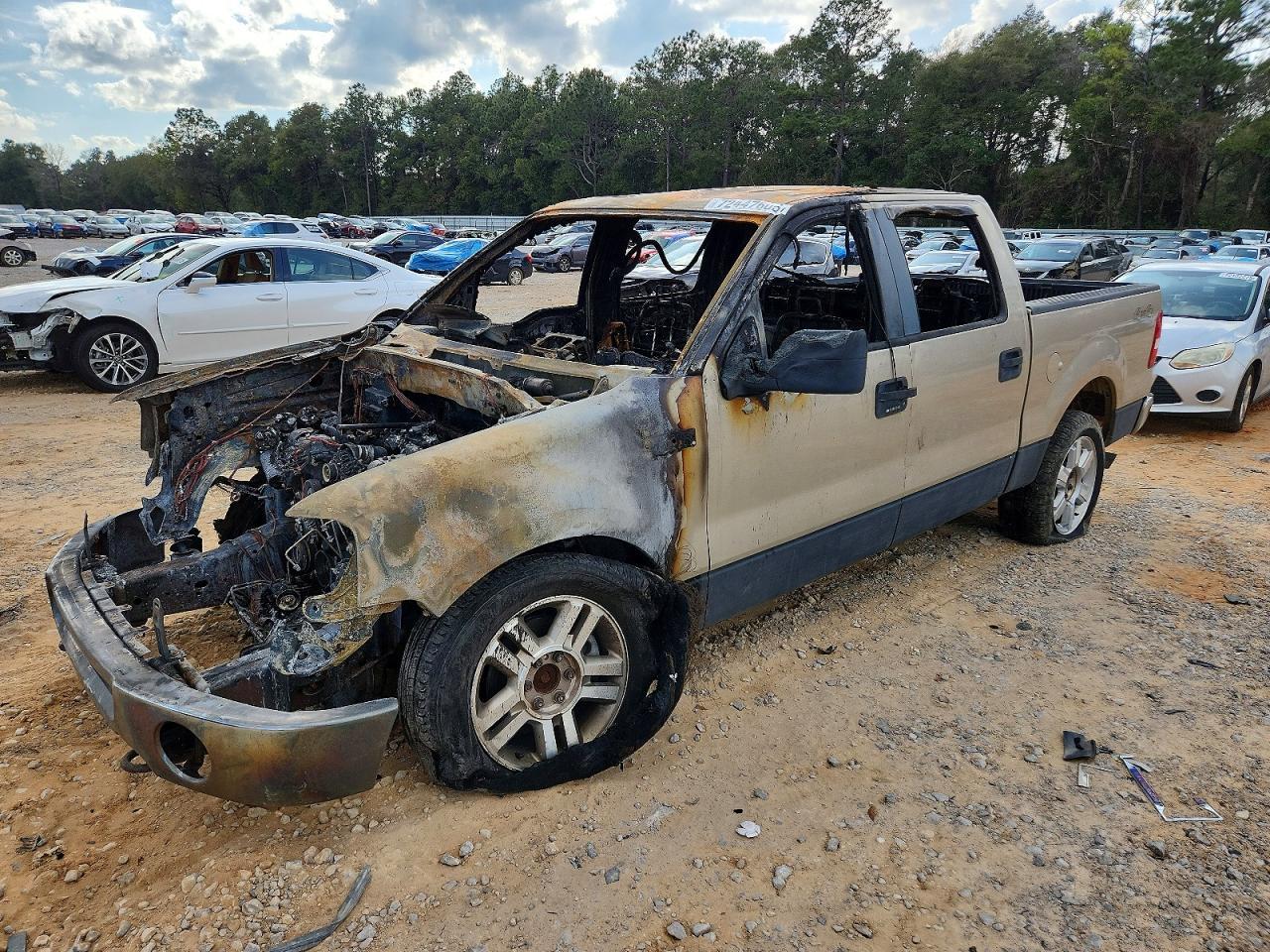 2007 FORD F-150