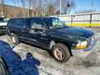 1998 DODGE Dakota