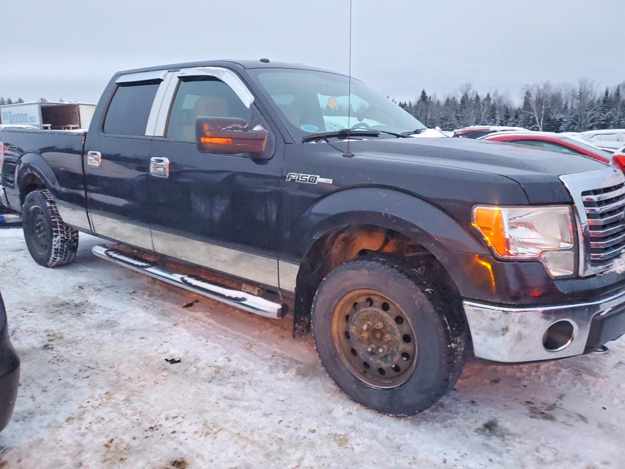 2010 FORD F-150