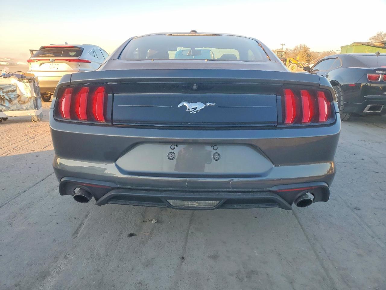 2019 FORD MUSTANG