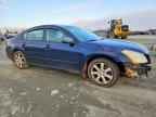 2007 NISSAN Maxima