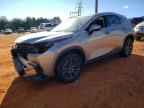 2025 LEXUS NX 250
