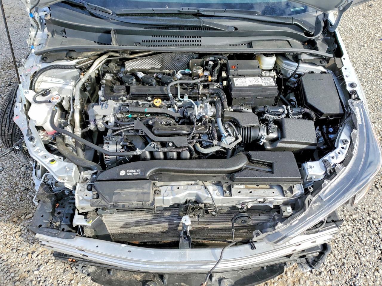 2025 TOYOTA COROLLA