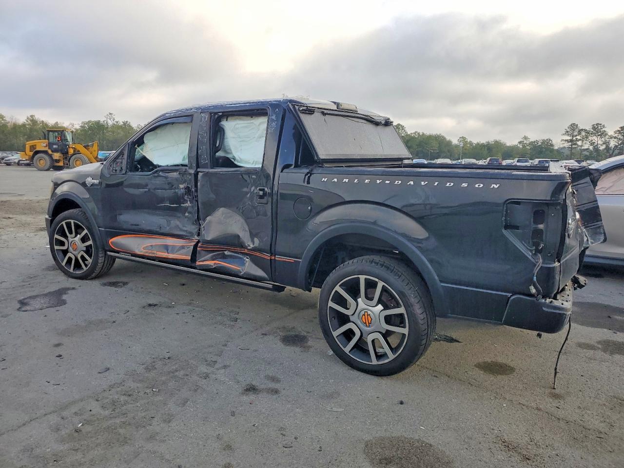 2010 FORD F-150