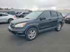 2010 HONDA CR-V