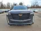 2024 CADILLAC ESCALADE