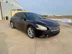 2013 NISSAN Maxima