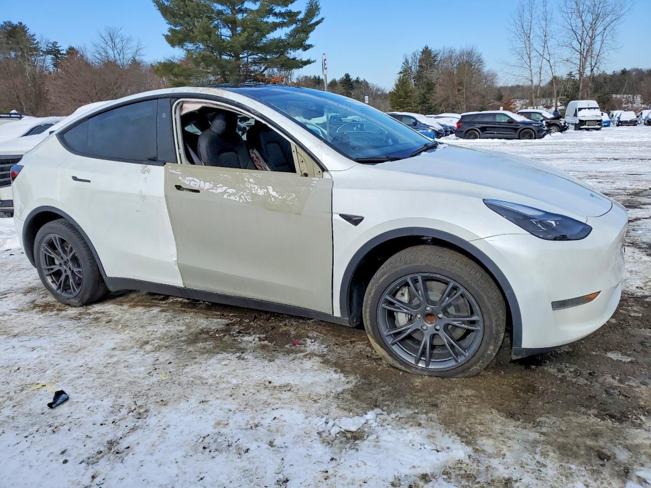2024 TESLA MODEL Y
