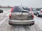 2010 HONDA CR-V
