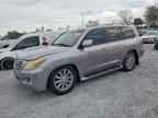 2010 LEXUS LX 570