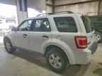 2009 FORD ESCAPE