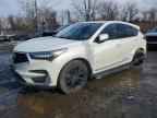 2019 ACURA RDX