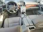 2006 ACURA RL