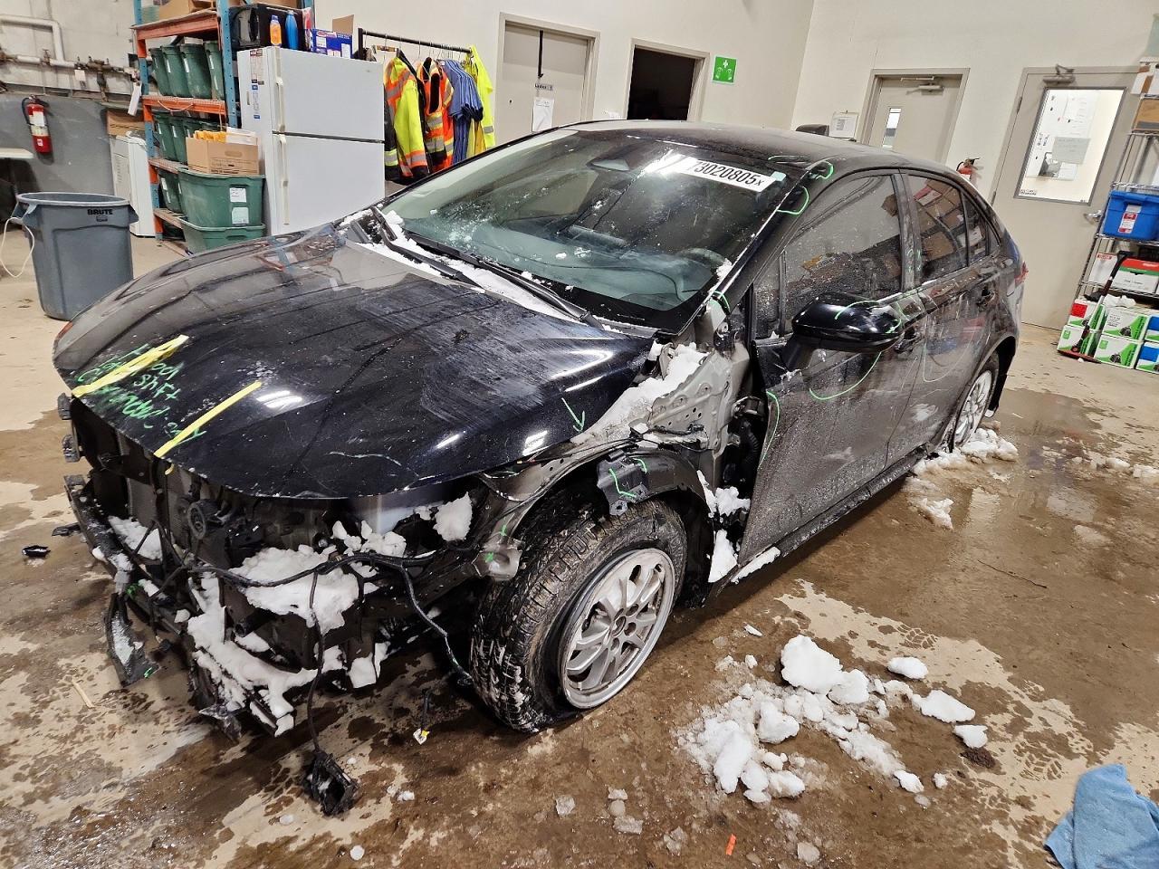 2023 TOYOTA COROLLA